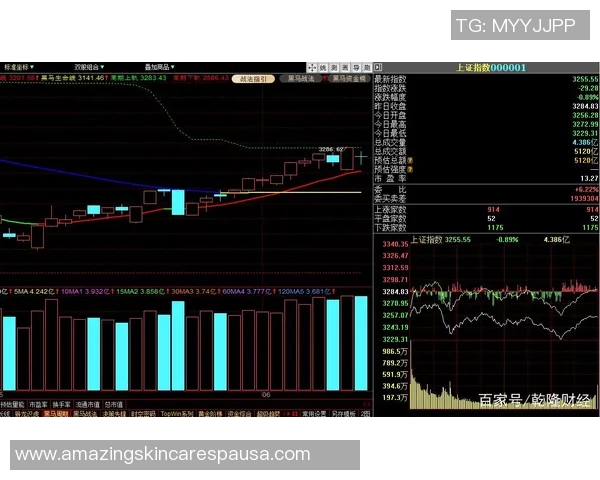 武汉网球队防守策略深度分析与战术解读