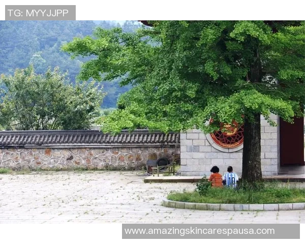 武汉网球队在联合会杯中的拼搏历程与荣耀时刻全景回顾